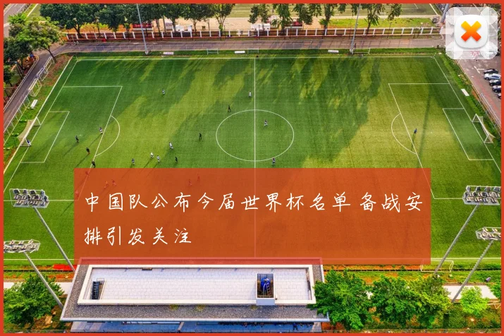 中国队公布今届世界杯名单 备战安排引发关注