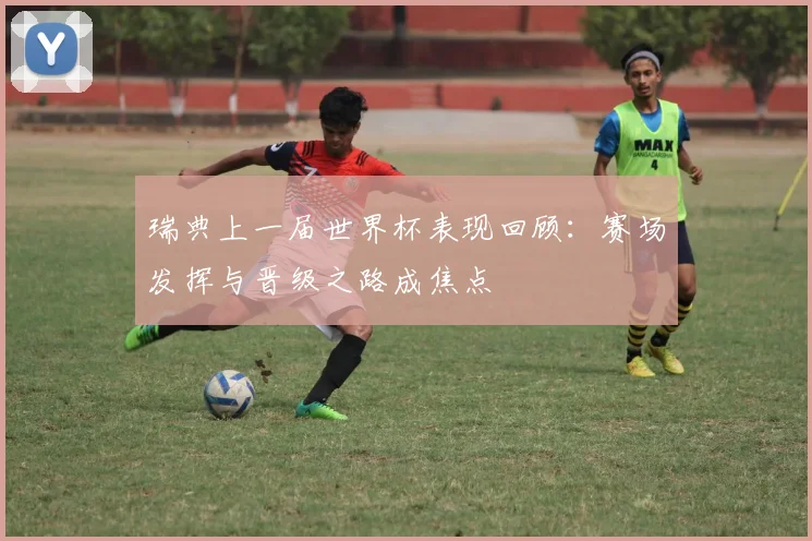 瑞典上一届世界杯表现回顾：赛场发挥与晋级之路成焦点