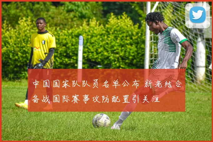 中国国家队队员名单公布 新老结合备战国际赛事攻防配置引关注